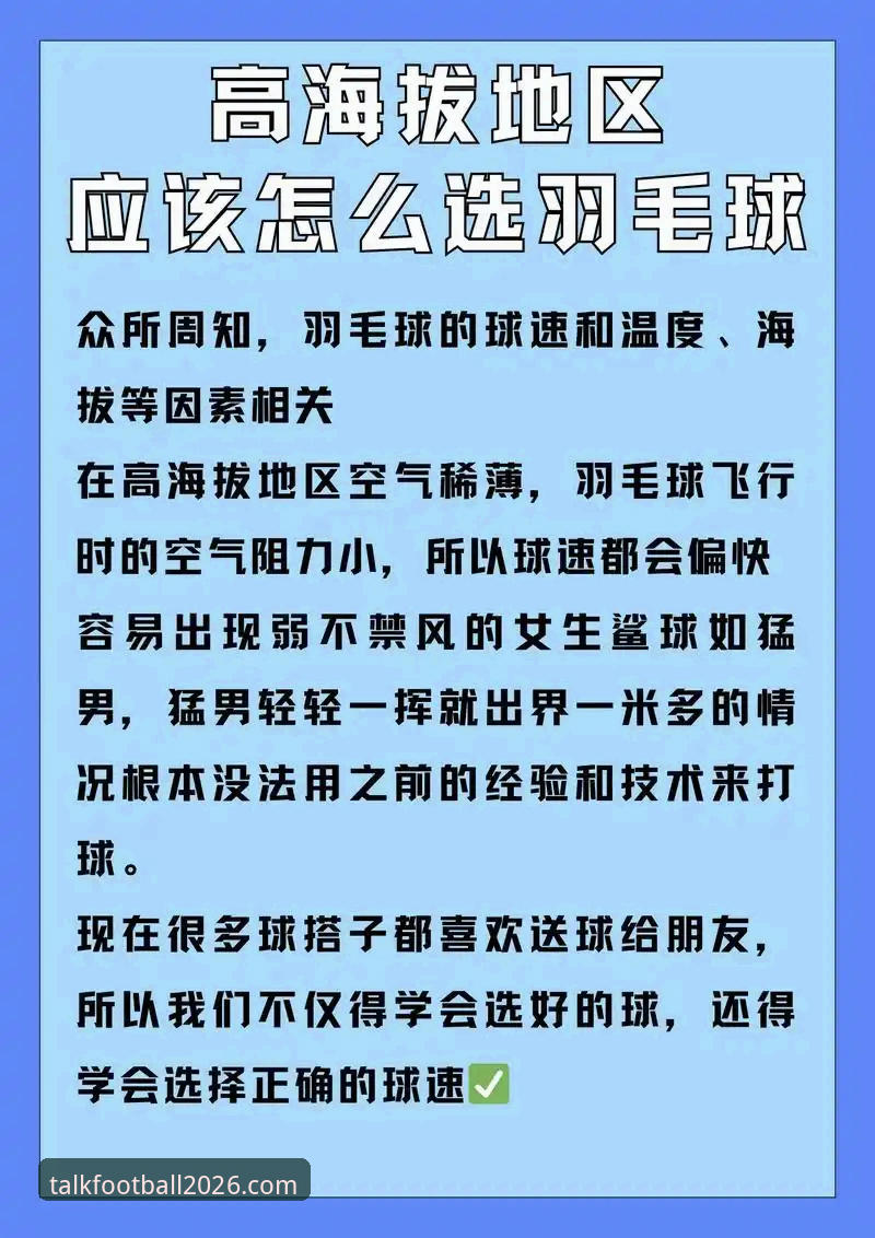 聊球2026下载安装教程 3个步骤搞定聊球2026下载安装教程,实测体验升级全解析