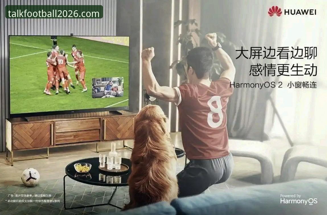 聊球APP功能介绍：官方版vs第三方版，2026新版实测对比